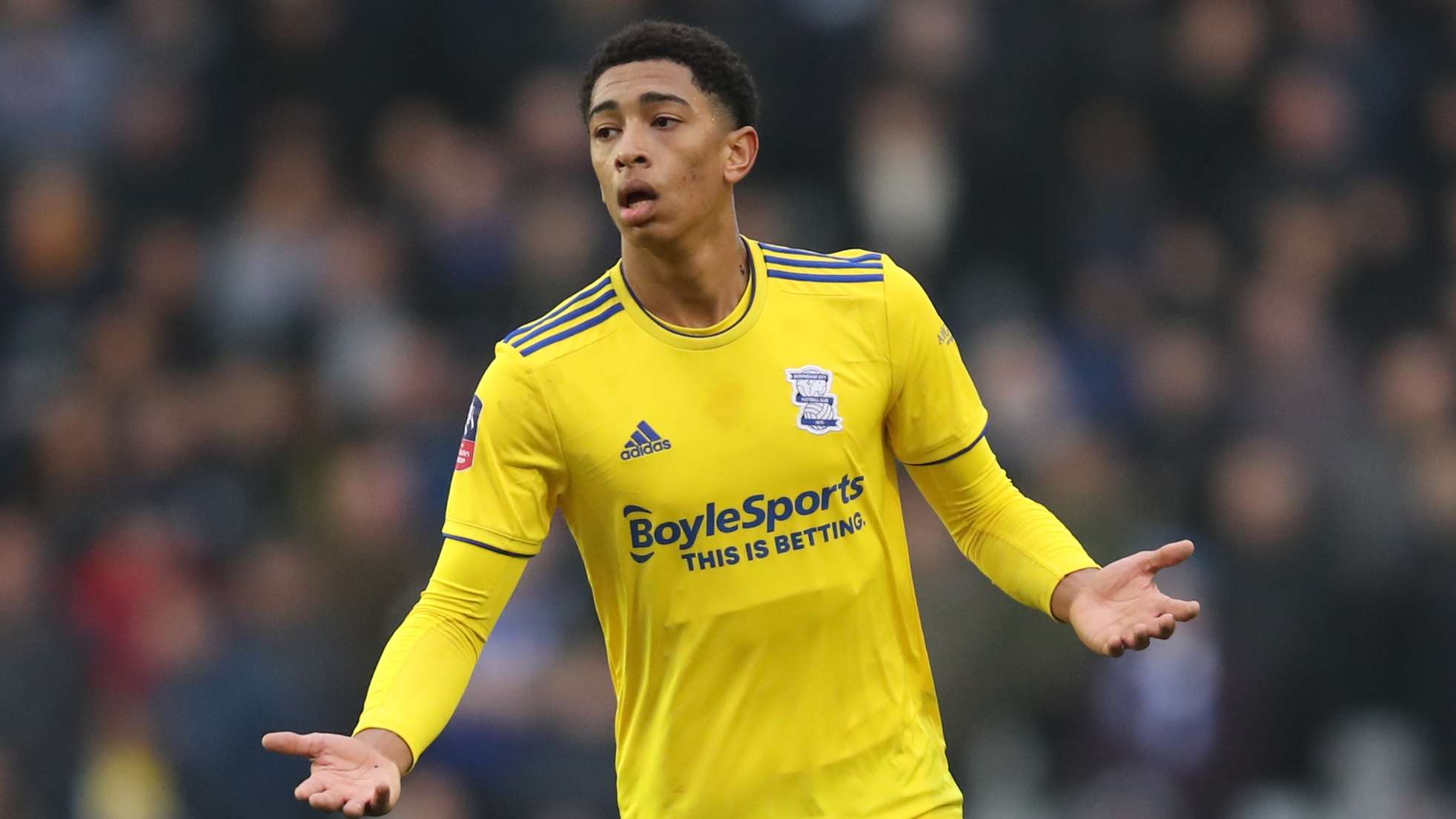 我们将探讨 我们将探讨